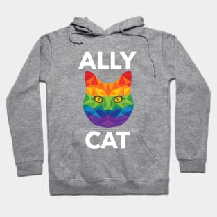 LGBTQ | Ally Cat | Pride Gift | Be Kind | Funny LGBTQ Gift Idea | Cat Lover | Kitty Lover | Love Is Love | Rainbow Hoodie